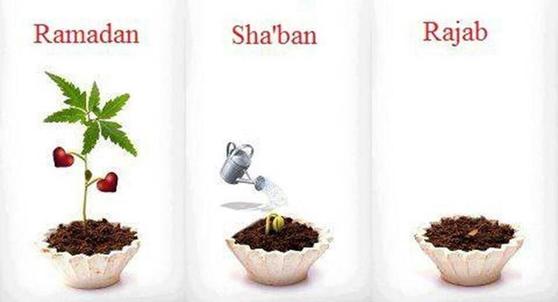 ෂඃබාන් මස සුවිශේෂත්වයන් (month of shaban)